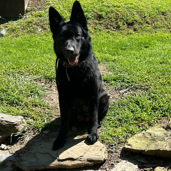 Meet your Posher, Danyell - Picture 4 of 6